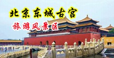 操月南妓女大黑穴中文视频中国北京-东城古宫旅游风景区